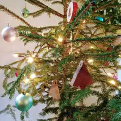 Alternative view of Weihnachtsbäume  3er Set
